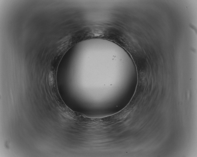 X0000098131442200804241638