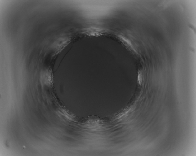 X0000098131444200804241638