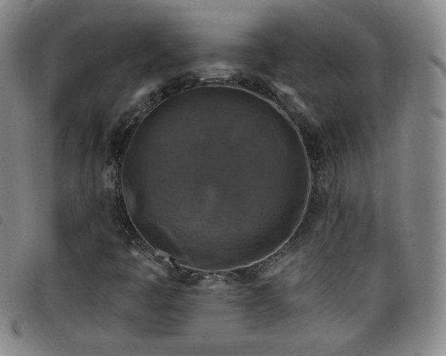 X0000098131445200804241638