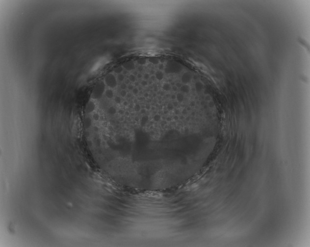 X0000098131446200804241638