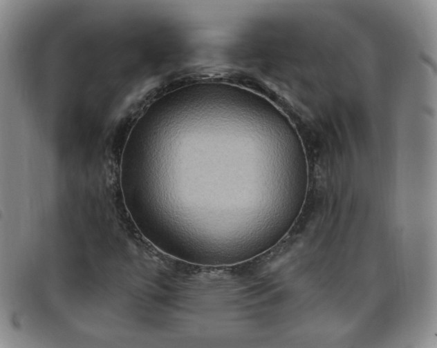 X0000098131447200804241638