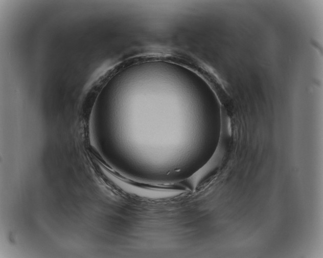 X0000098131448200804241638