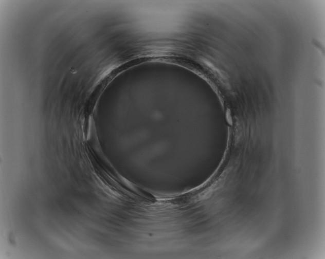 X0000098131449200804241638