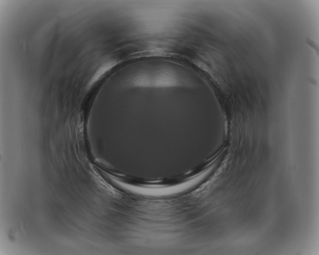 X0000098131450200804241638