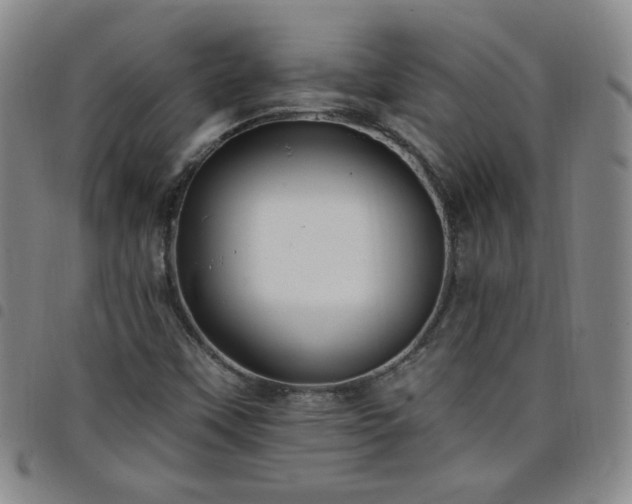 X0000098131451200804241638