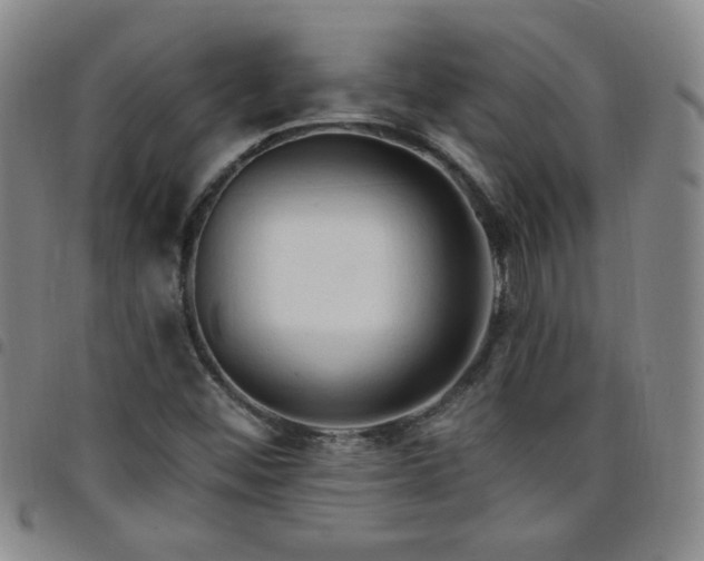 X0000098131452200804241638