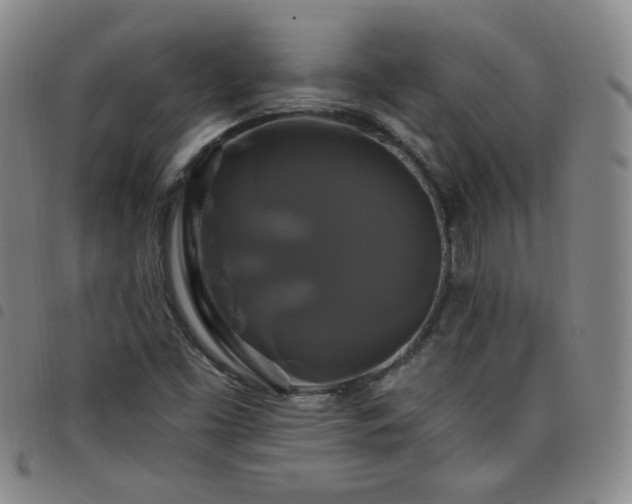 X0000098131453200804241638