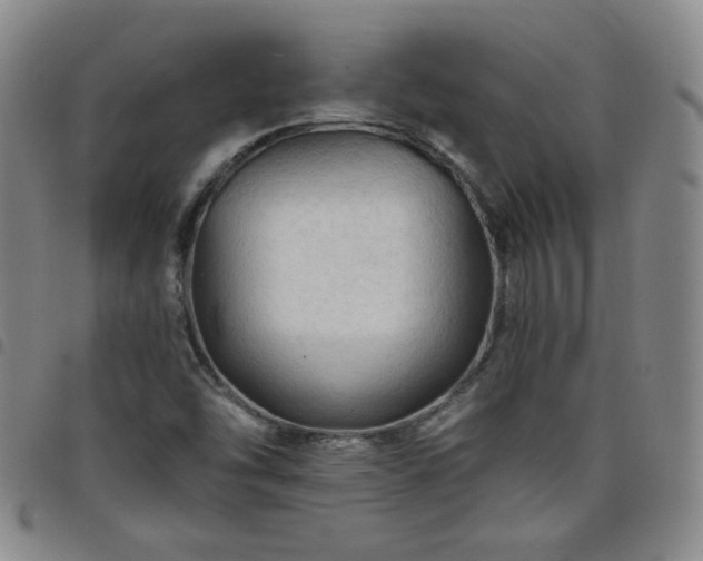 X0000098131454200804241638