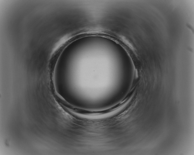 X0000098131456200804241638