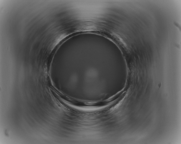 X0000098131457200804241638
