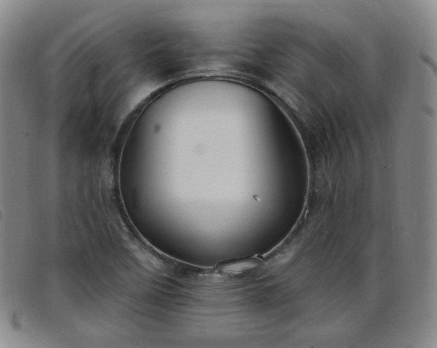 X0000098131458200804241638