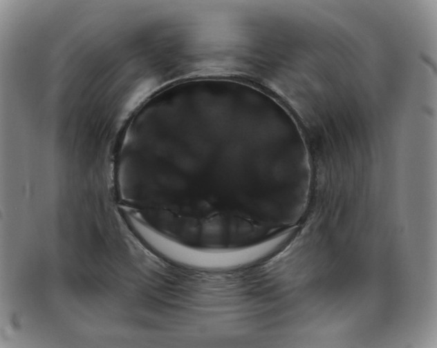 X0000098131459200804241638
