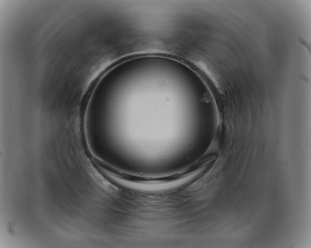 X0000098131460200804241638
