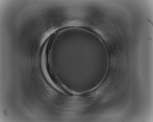 X0000098131461200804241638