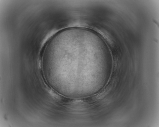 X0000098131462200804241638