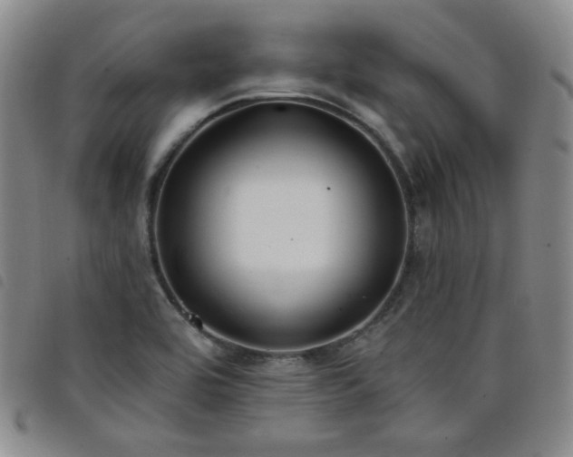 X0000098131464200804241638