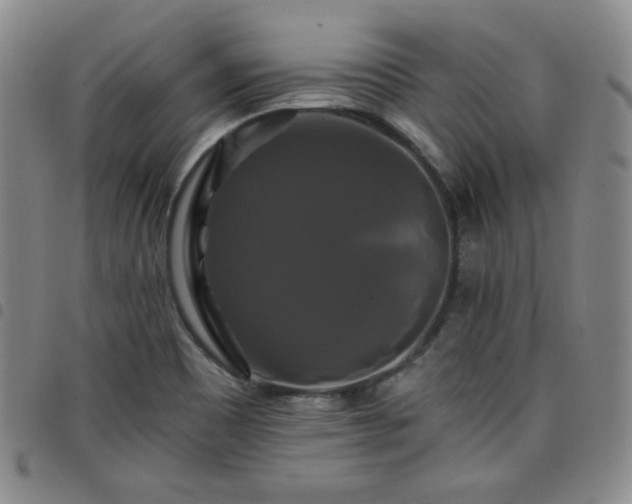 X0000098131465200804241638