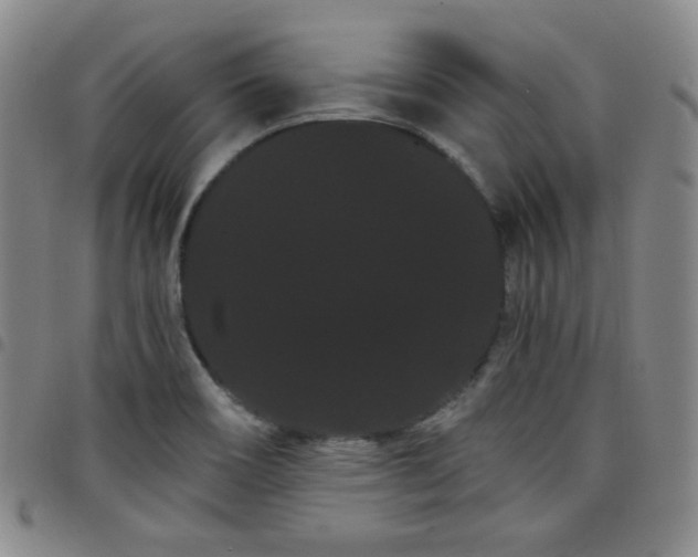 X0000098131466200804241638