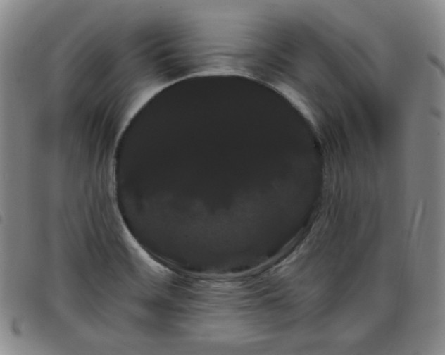 X0000098131468200804241638