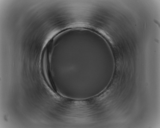 X0000098131469200804241638
