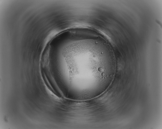 X0000098131471200804241638