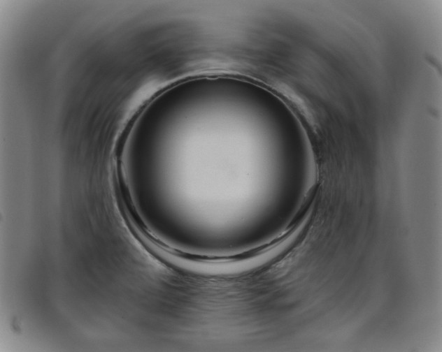 X0000098131472200804241638