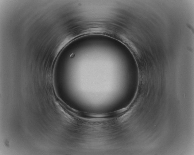 X0000098131473200804241638