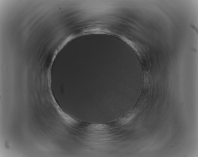 X0000098131474200804241638
