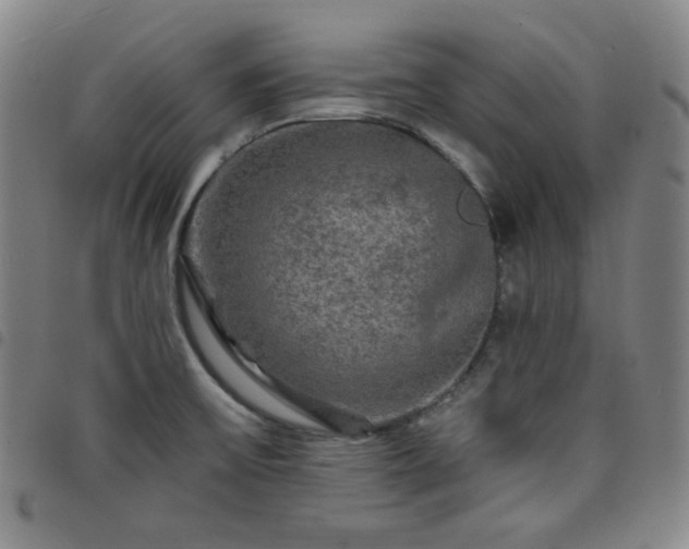 X0000098131475200804241638