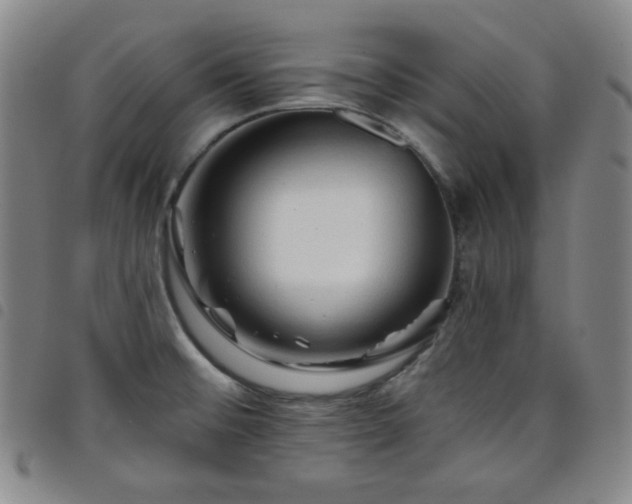 X0000098131476200804241638