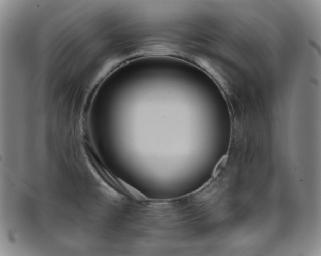 X0000098131477200804241638