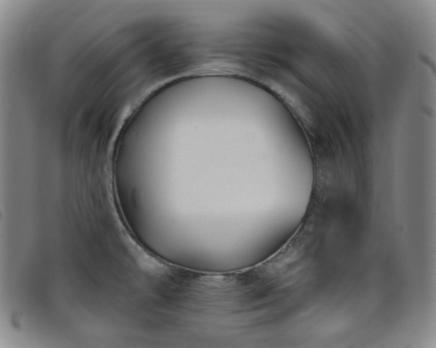 X0000098131478200804241638