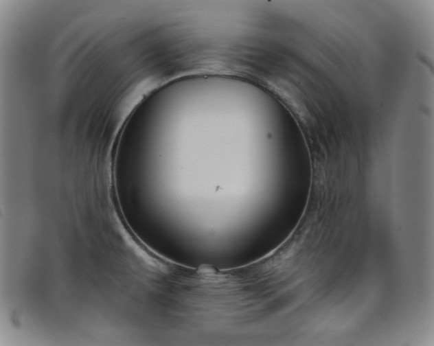 X0000098131479200804241638