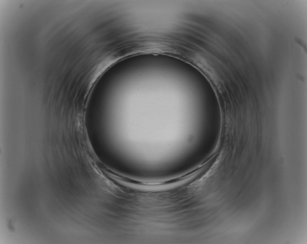 X0000098131481200804241638