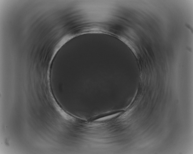 X0000098131482200804241638