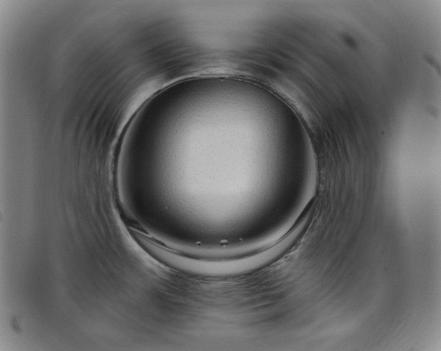 X0000098131483200804241638