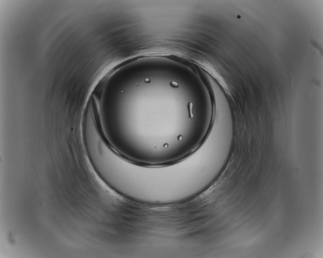 X0000098131484200804241638