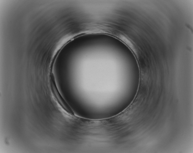 X0000098131485200804241638