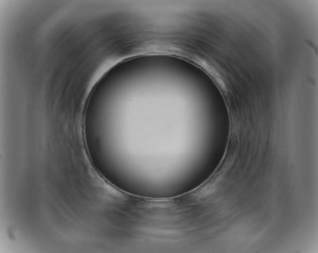 X0000098131486200804241638