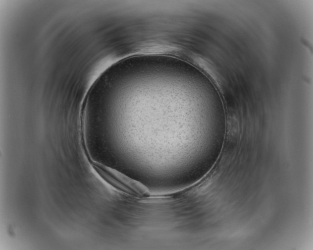 X0000098131487200804241638