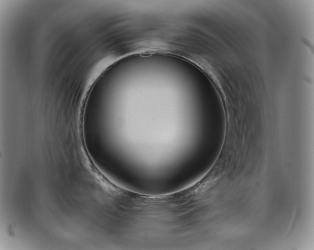 X0000098131488200804241638
