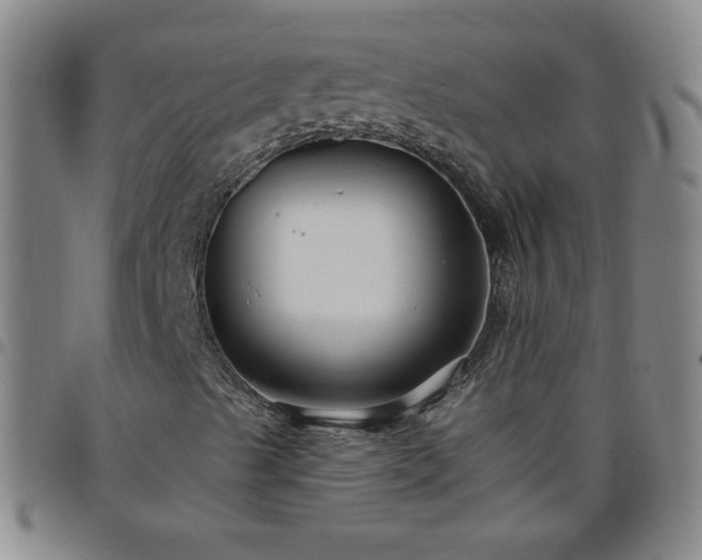 X0000098131489200804241637