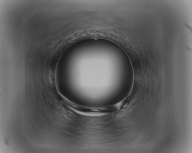 X0000098131490200804241637