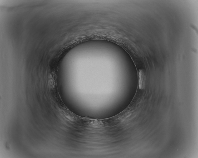 X0000098131491200804241637