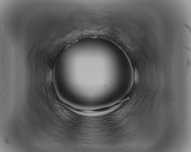 X0000098131492200804241637