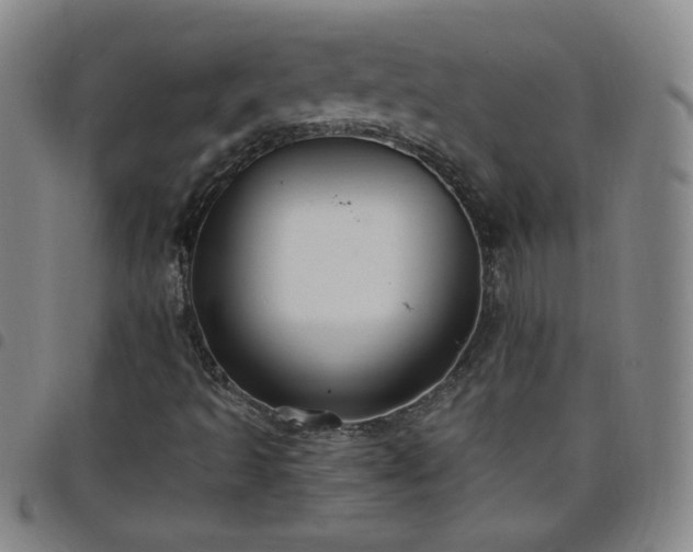 X0000098131493200804241637