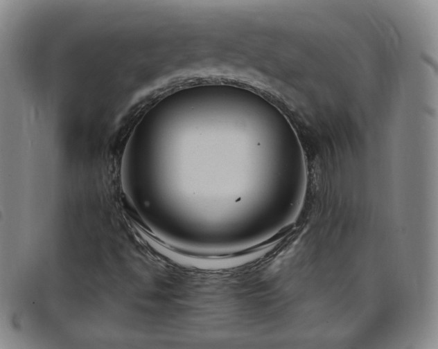 X0000098131494200804241637