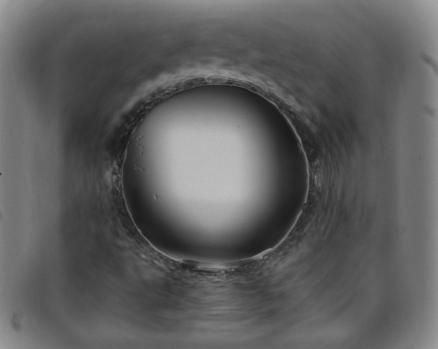 X0000098131495200804241637