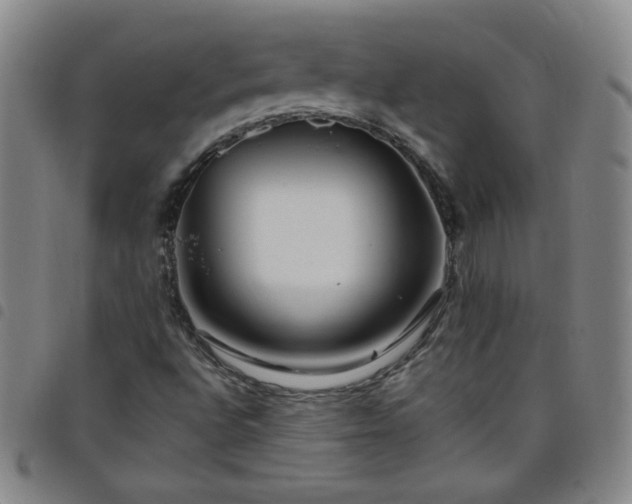 X0000098131496200804241637