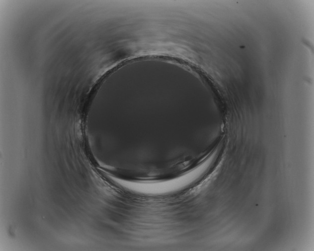 X0000098131497200804241637